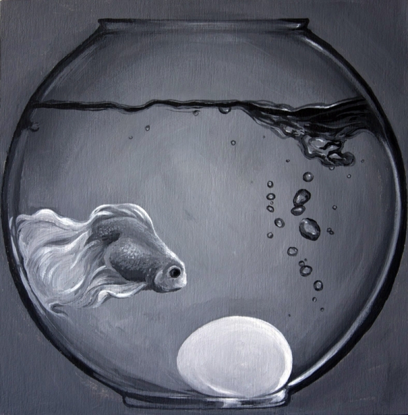How To Confuse A Goldfish
