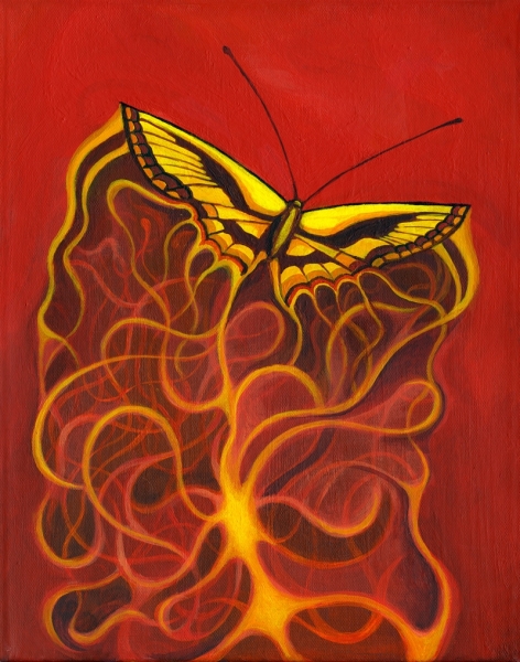 A Butterfly Emerges